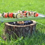 Eco-grill